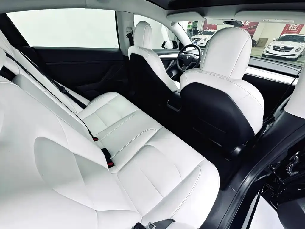 Tesla Model 3 2021 из CN, фото 8
