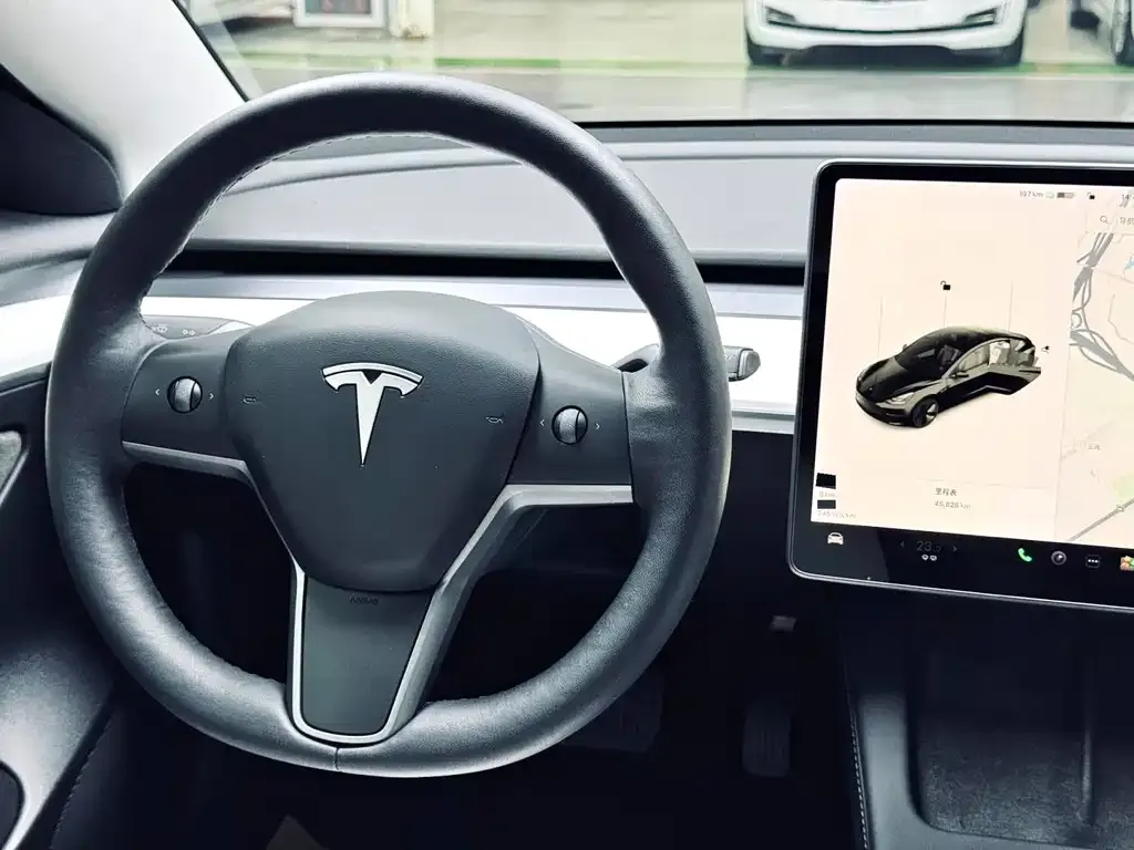 Tesla Model 3 2021 из CN, фото 5