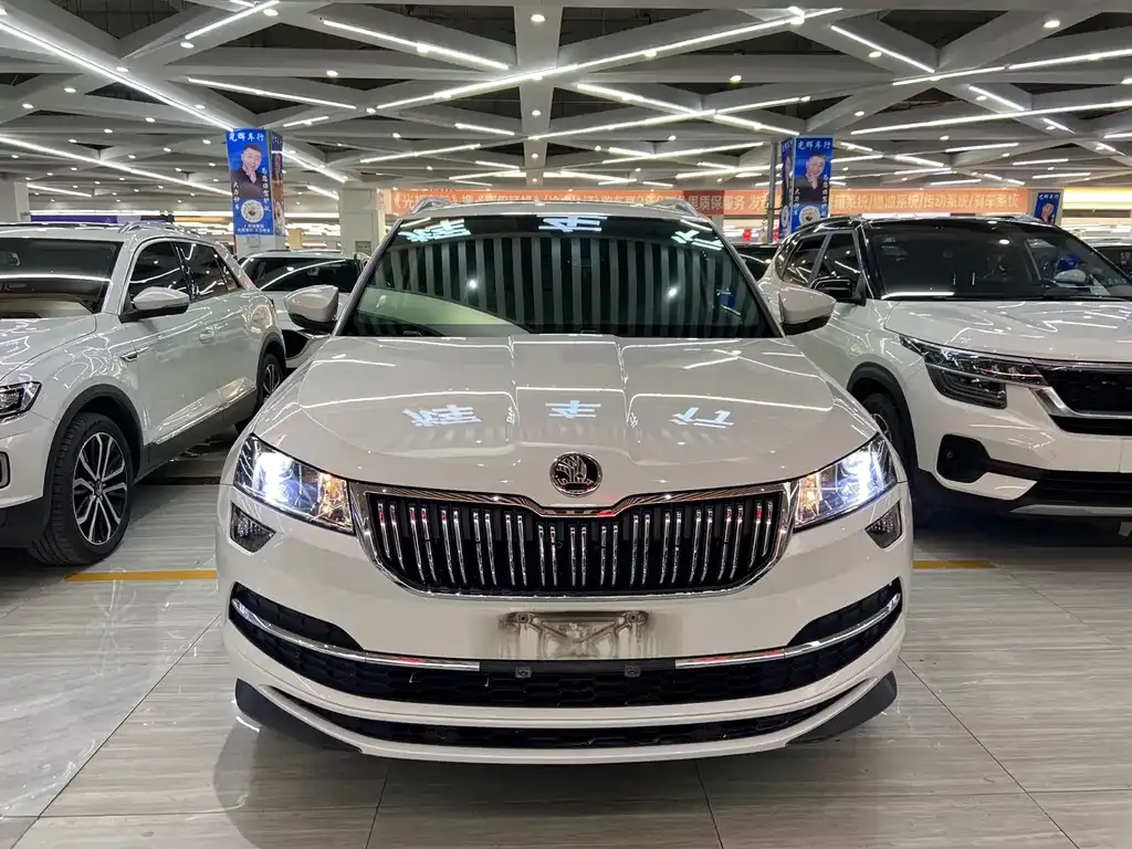 Skoda Karoq 2022 из CN, фото 10