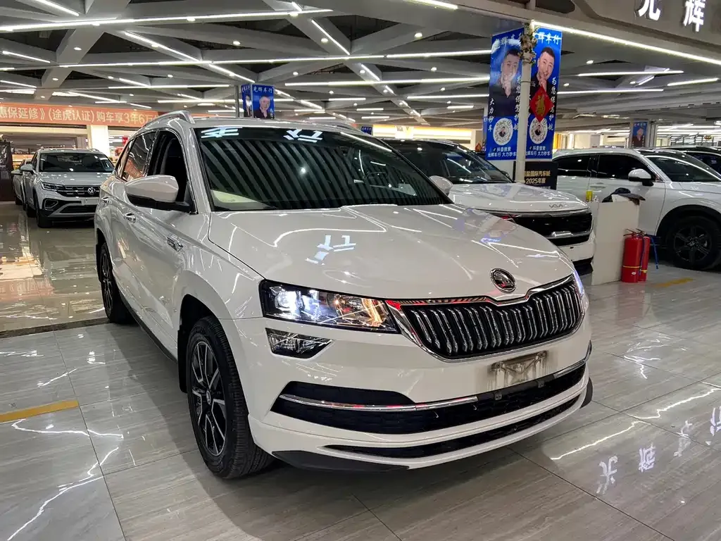 Skoda Karoq 2022 из CN, фото 8