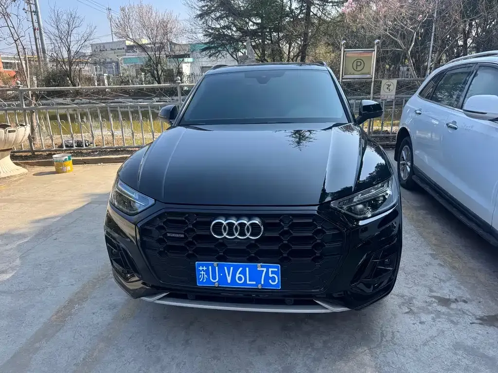 Audi Q5L 2024 из CN, фото 4