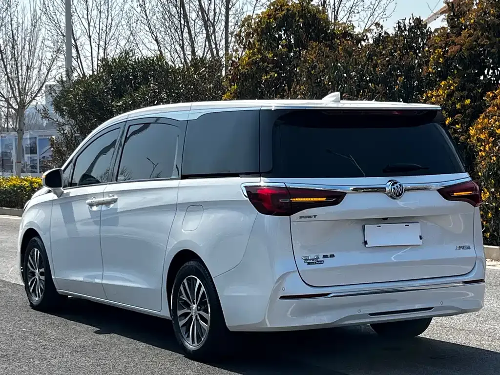Buick GL8 2022 из CN, фото 10