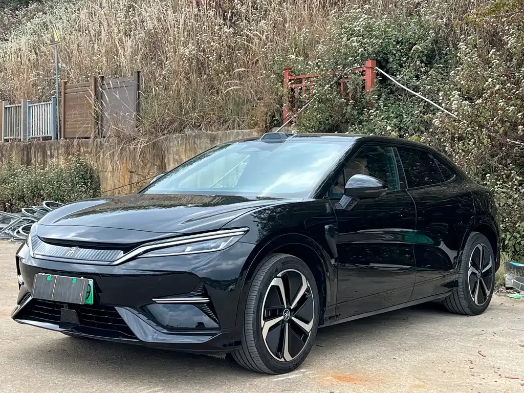 BYD L EV — фото 1
