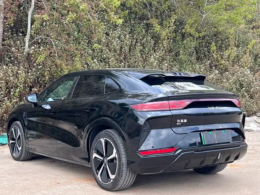BYD L EV — фото 4