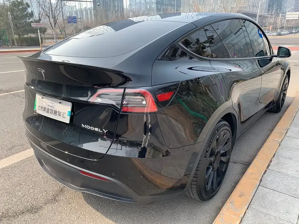 Tesla Model Y 2023 из CN, фото 9