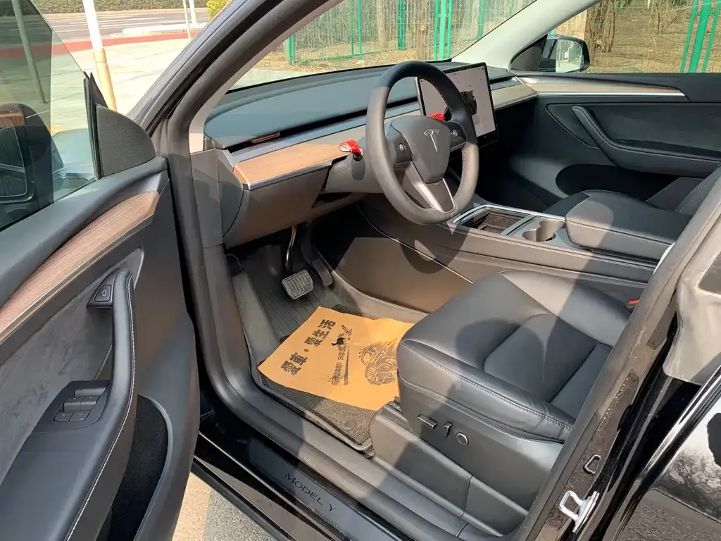 Tesla Model Y 2023 из CN, фото 8