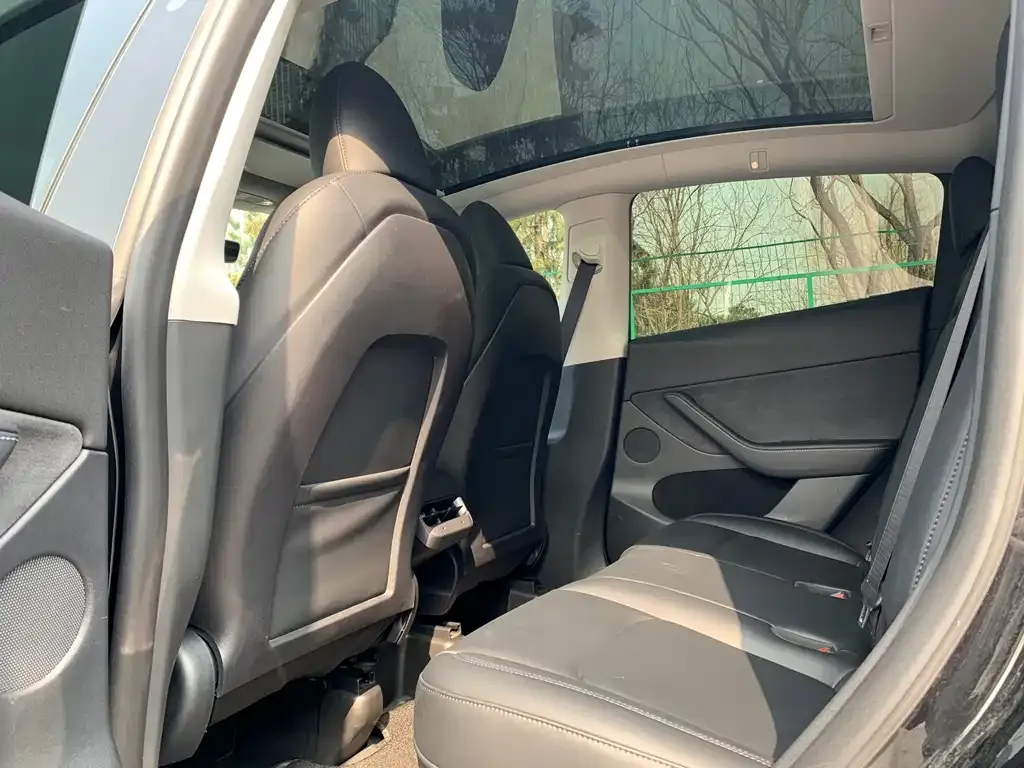 Tesla Model Y 2023 из CN, фото 4