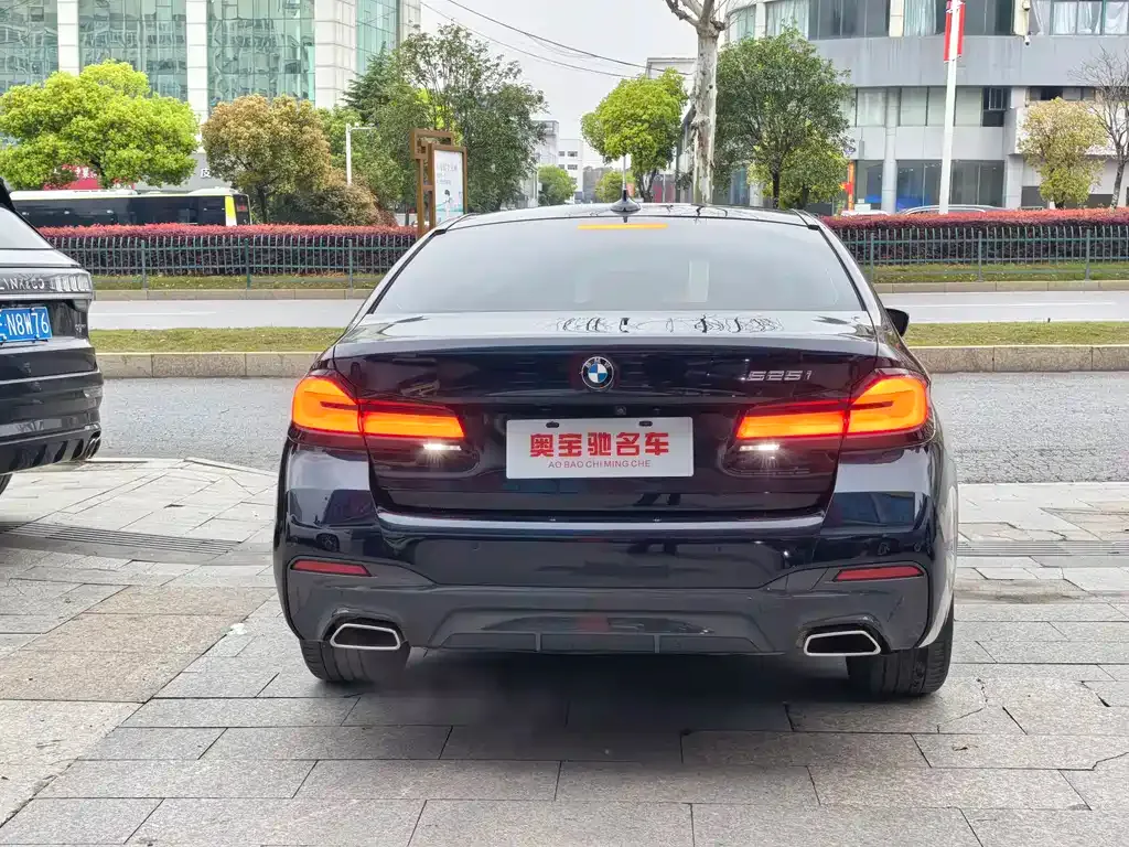 BMW 5 Series (Import) — фото 9