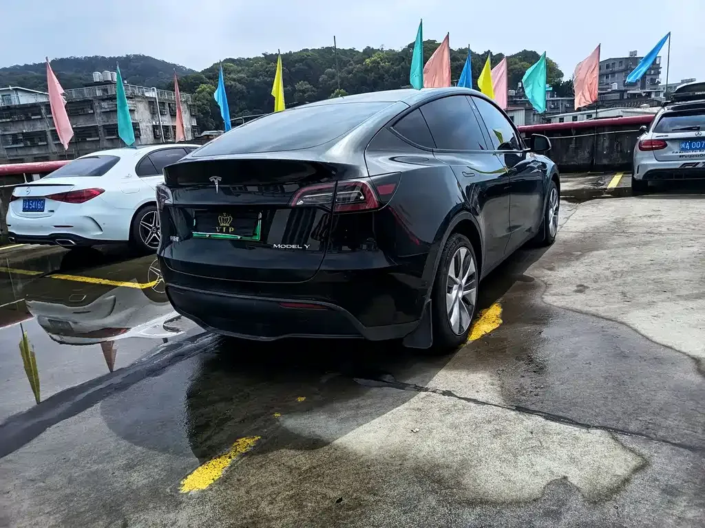 Tesla Model Y — фото 3