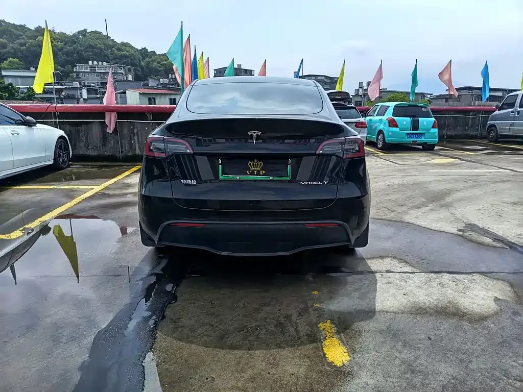 Tesla Model Y — фото 9