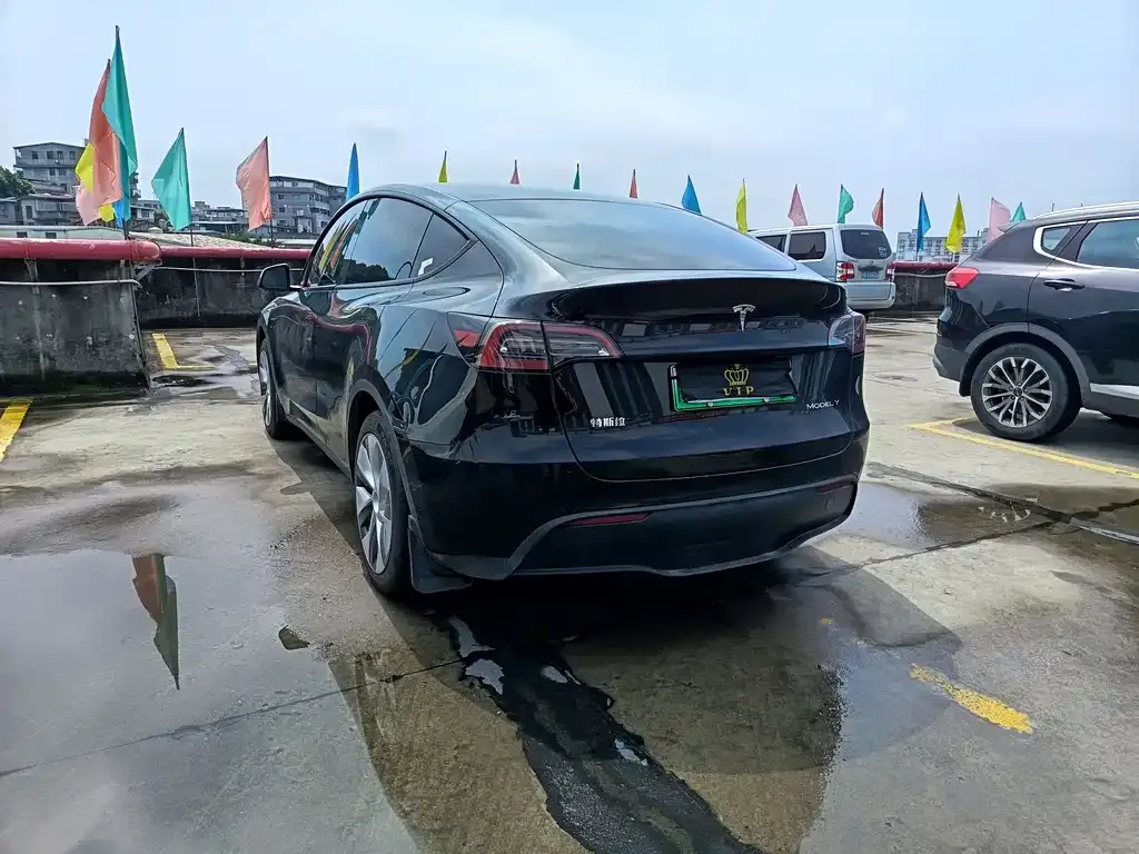 Tesla Model Y — фото 2