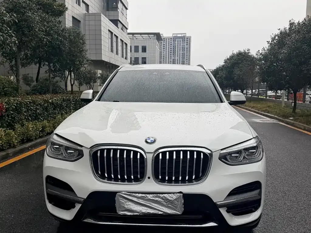 BMW X3 2021 из CN, фото 7