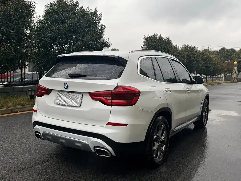BMW X3 2021 из CN, фото 6