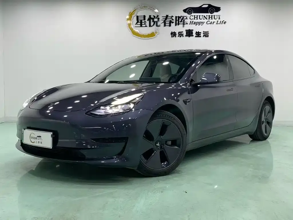 Tesla Model 3 2022 из CN, фото 1