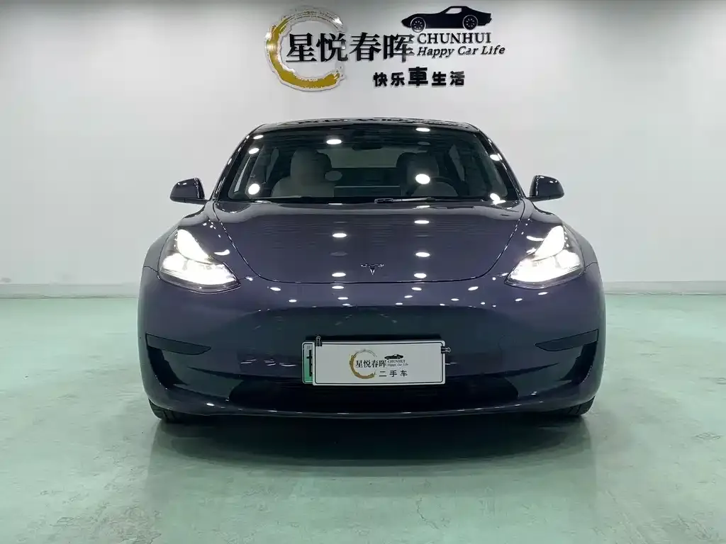 Tesla Model 3 2022 из CN, фото 9