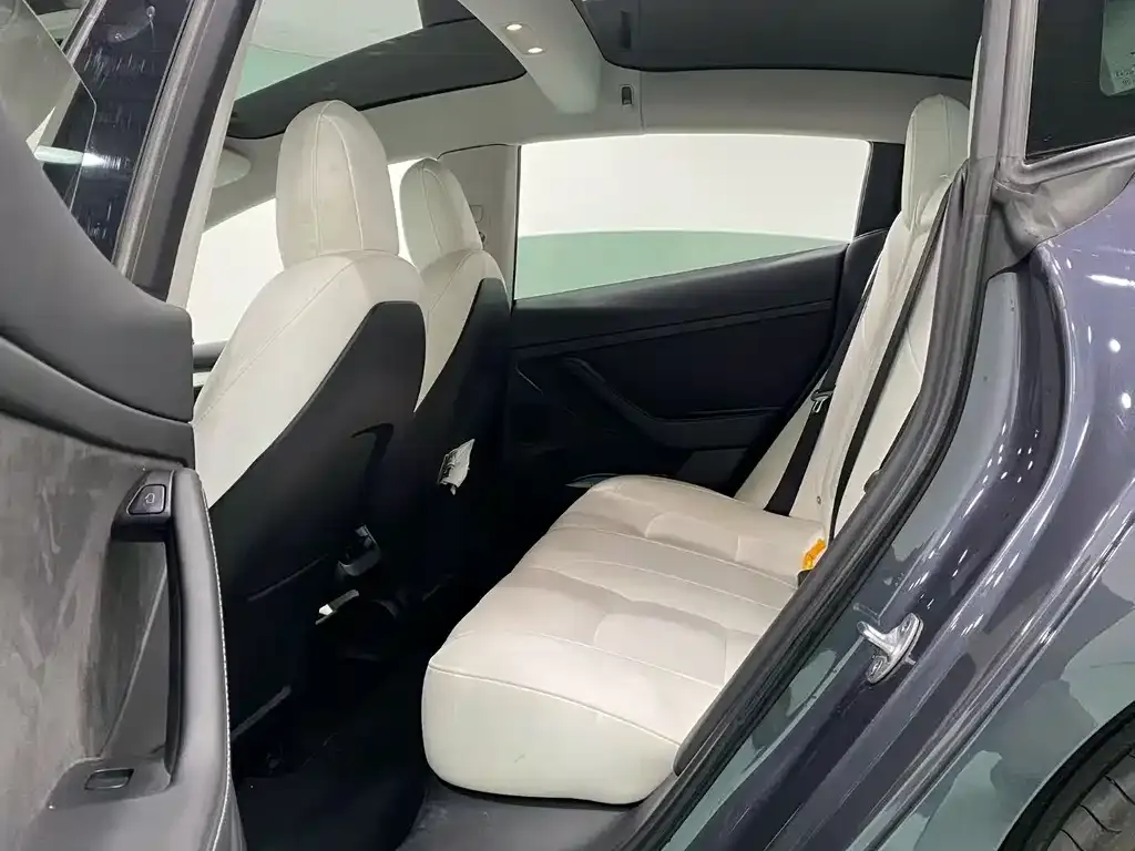 Tesla Model 3 2022 из CN, фото 8