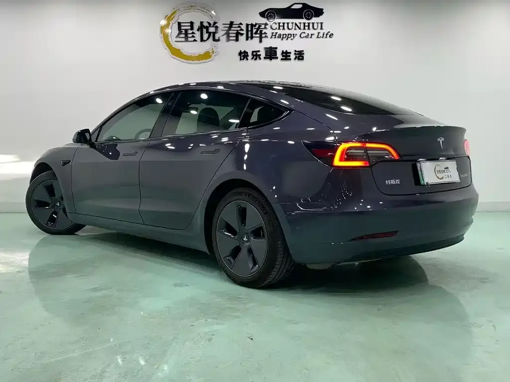 Tesla Model 3 2022 из CN, фото 6