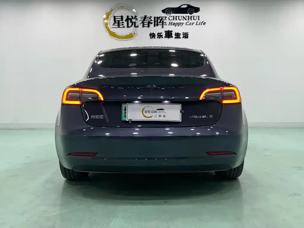Tesla Model 3 2022 из CN, фото 3