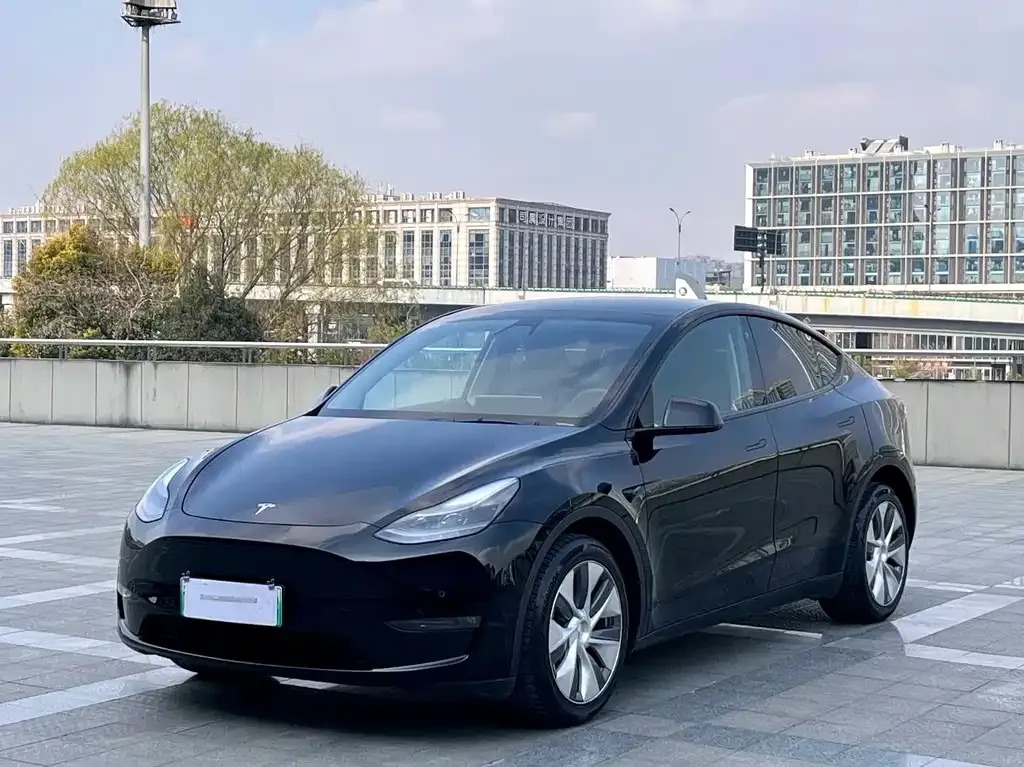 Tesla Model Y — фото 1