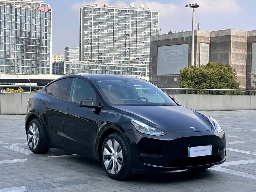 Tesla Model Y — фото 6