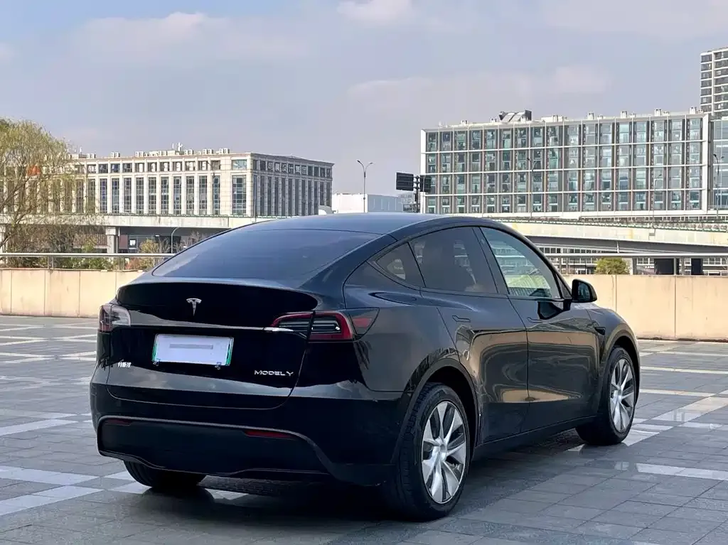 Tesla Model Y — фото 4