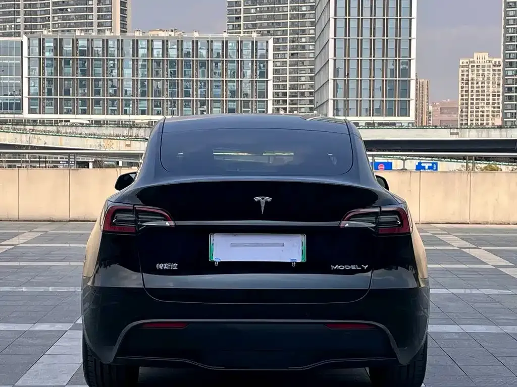 Tesla Model Y — фото 7