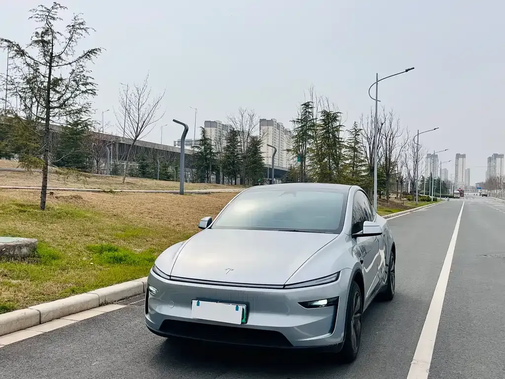 Tesla Model Y 2025 из CN, фото 1