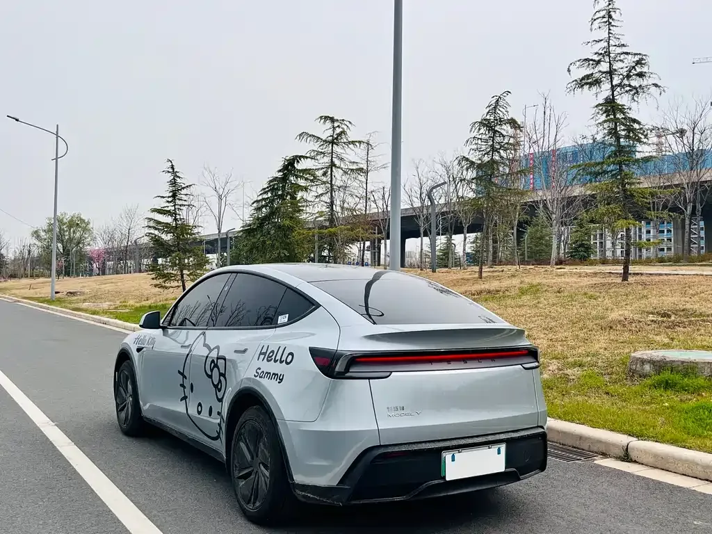 Tesla Model Y 2025 из CN, фото 7