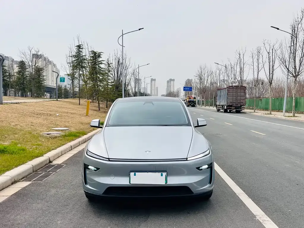 Tesla Model Y 2025 из CN, фото 8