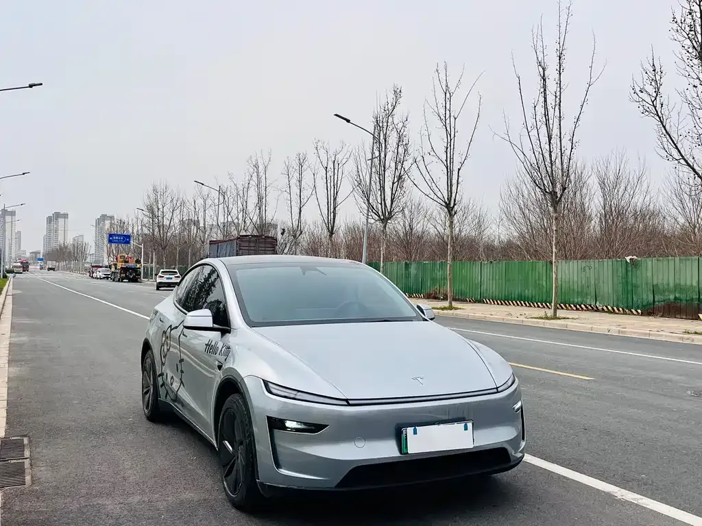 Tesla Model Y 2025 из CN, фото 10