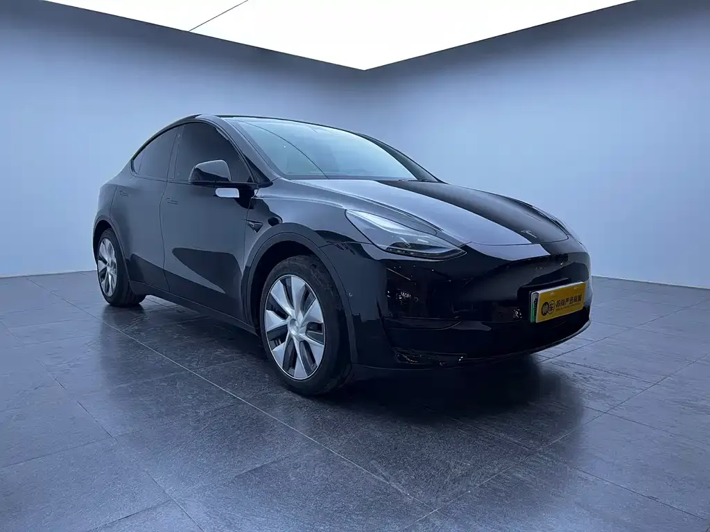 Tesla Model Y 2023 из CN, фото 9