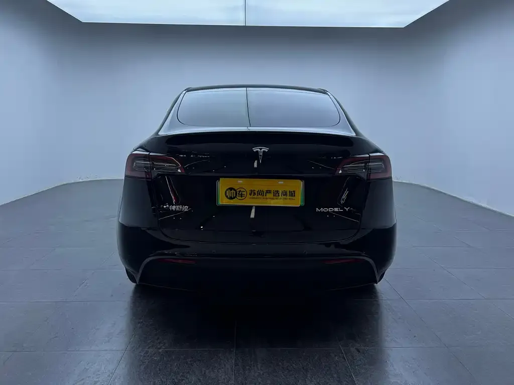 Tesla Model Y 2023 из CN, фото 2