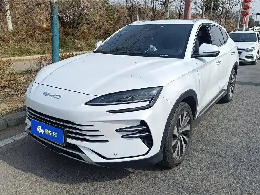 BYD PLUS New Energy — фото 1
