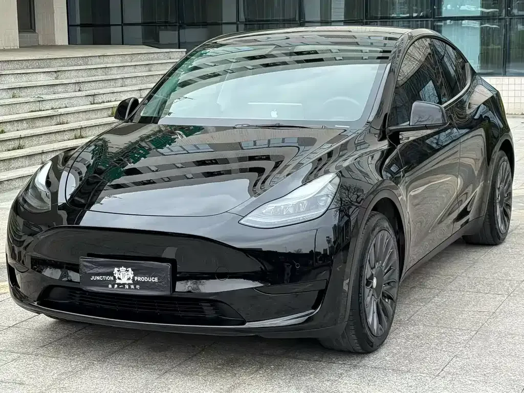 Tesla Model Y — фото 8