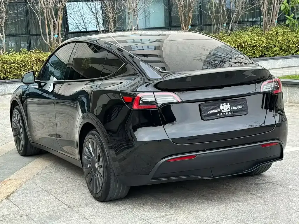 Tesla Model Y — фото 3