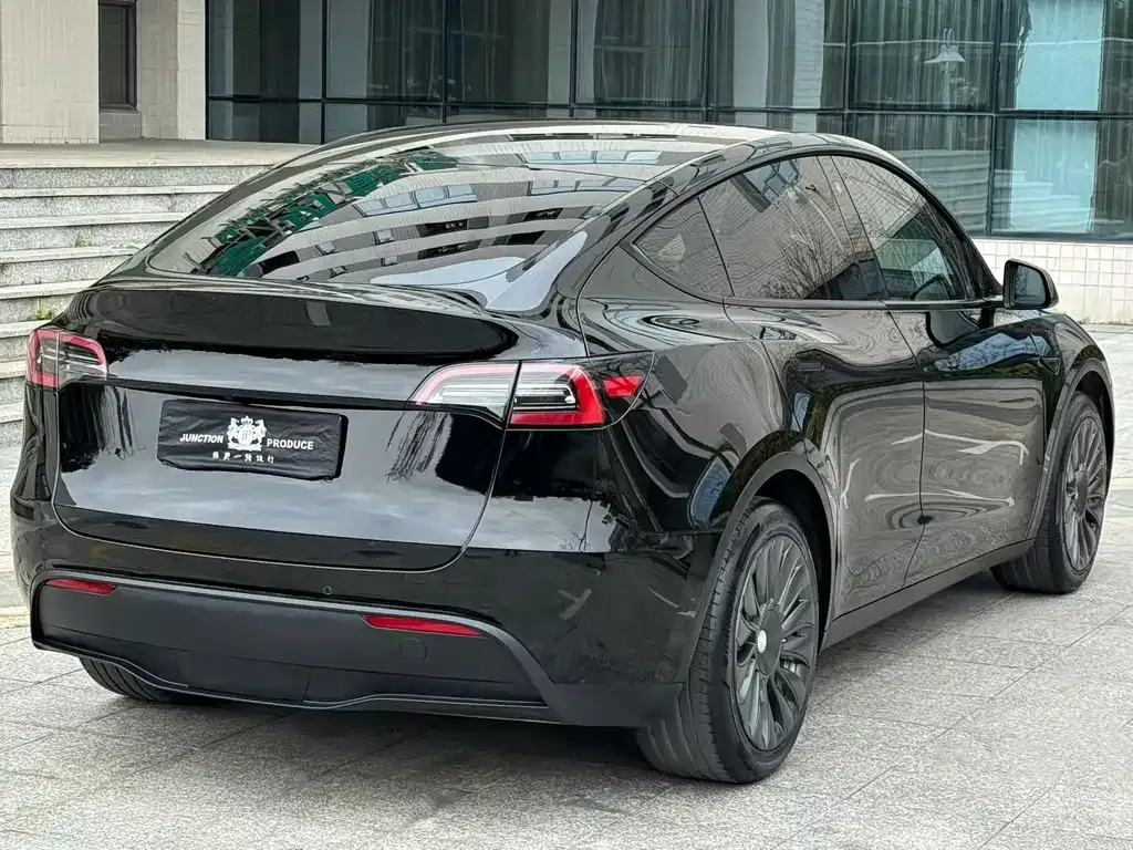 Tesla Model Y — фото 9