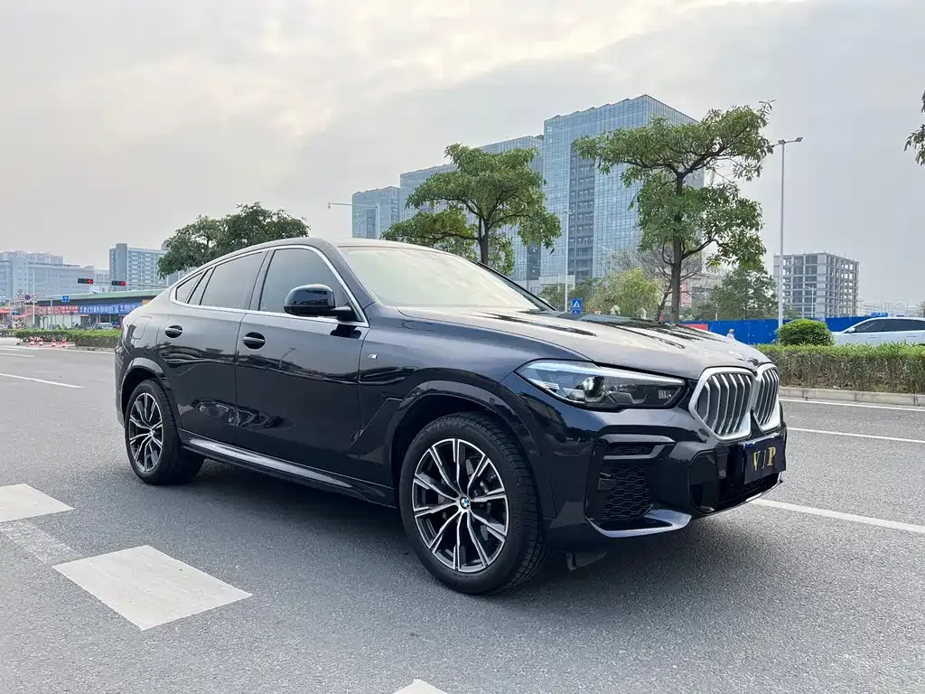 BMW X6 2022 из CN, фото 6