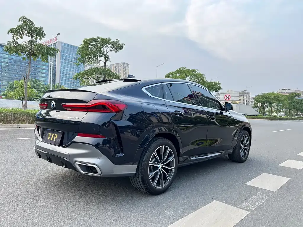 BMW X6 2022 из CN, фото 9