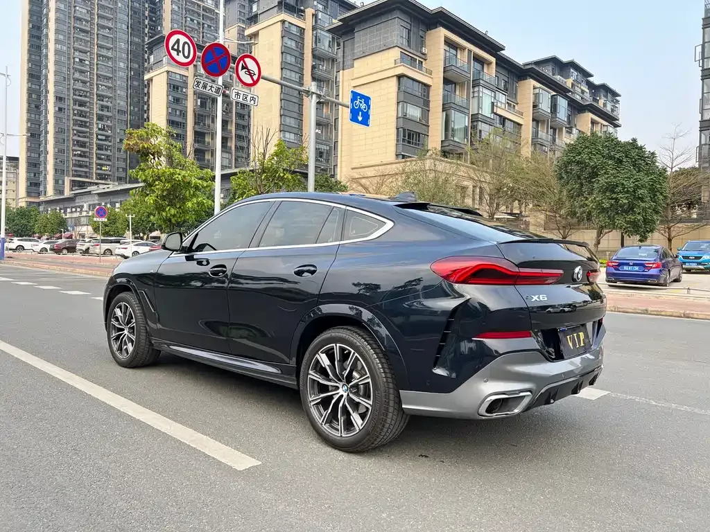 BMW X6 2022 из CN, фото 10