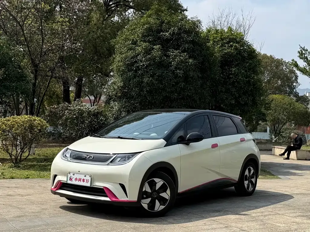 BYD Dolphin 2024 из CN, фото 1