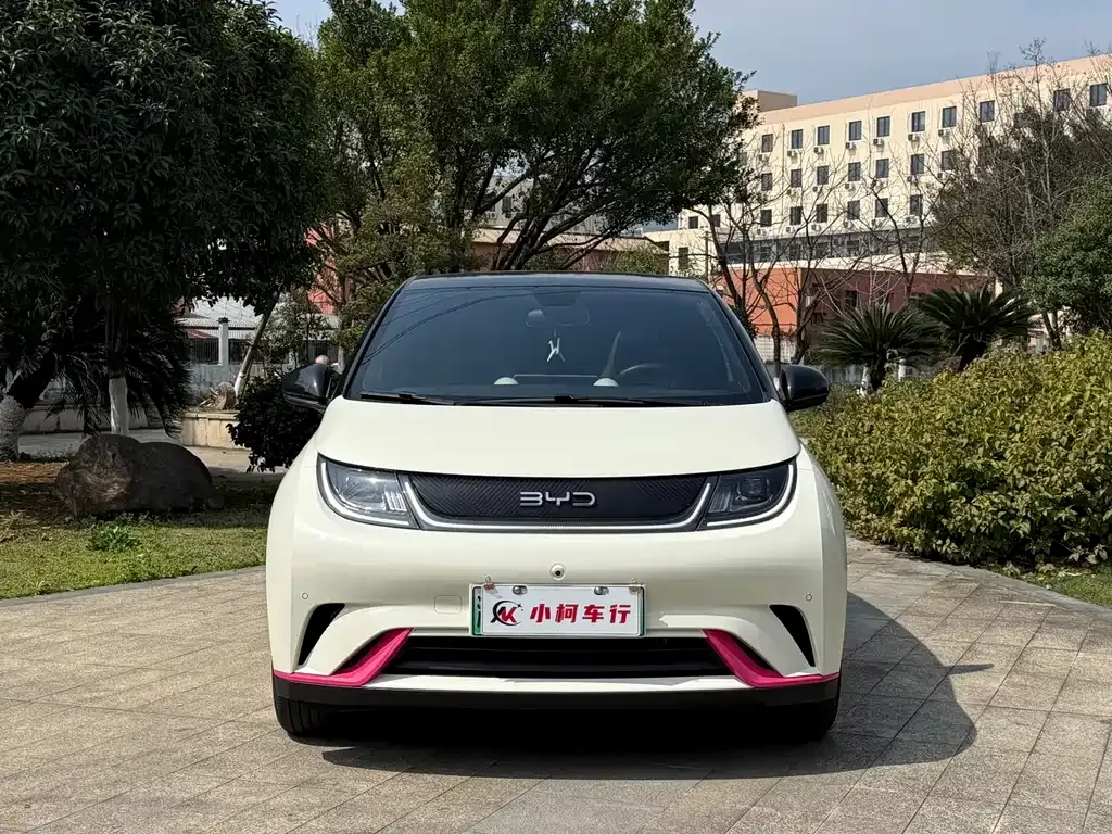 BYD Dolphin 2024 из CN, фото 10