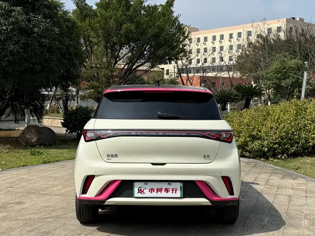 BYD Dolphin 2024 из CN, фото 9