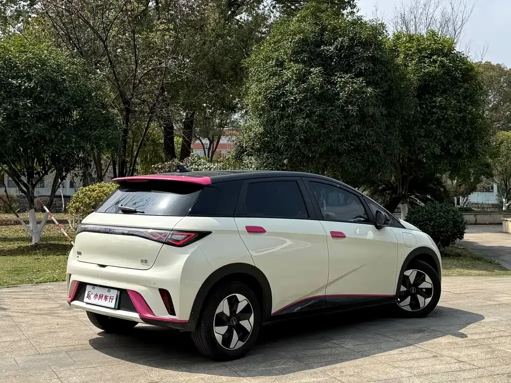 BYD Dolphin 2024 из CN, фото 3