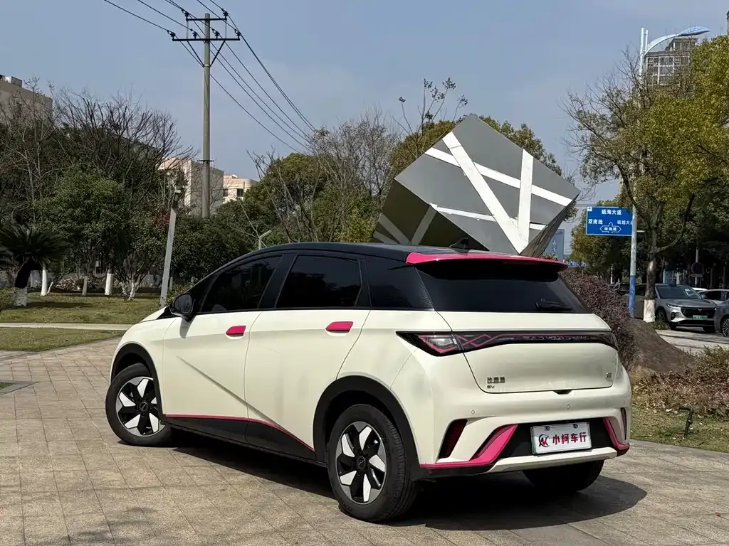 BYD Dolphin 2024 из CN, фото 4
