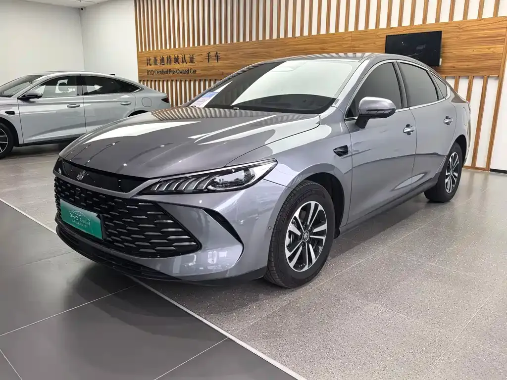BYD Qin PLUS — фото 1