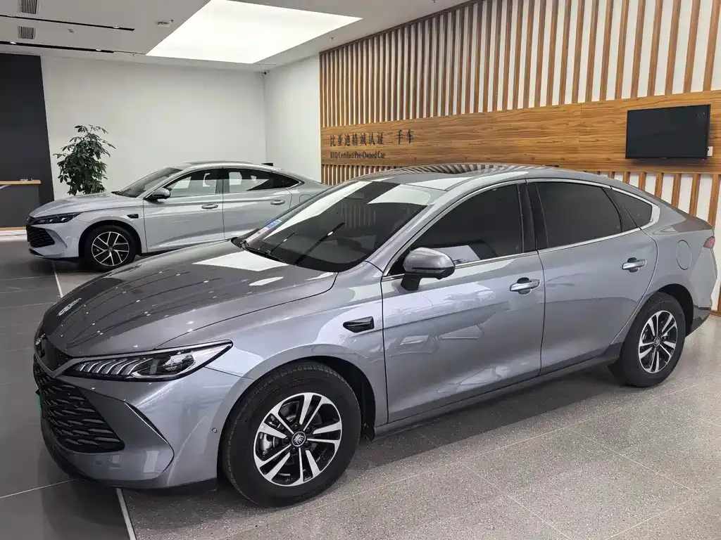 BYD Qin PLUS — фото 3