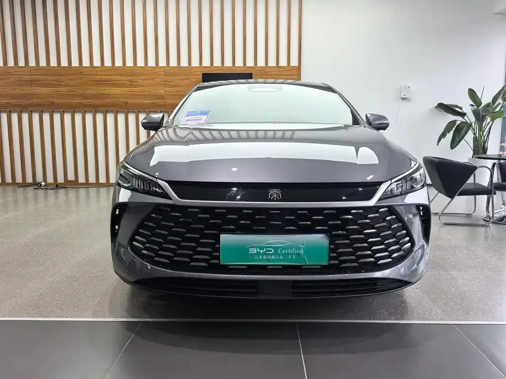 BYD Qin PLUS — фото 2