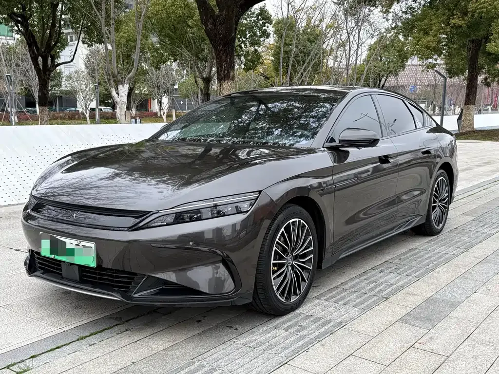 BYD Han — фото 10