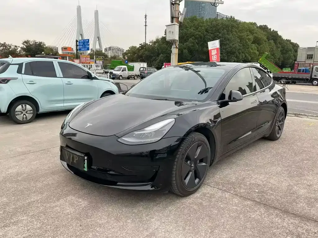 Tesla Model 3 2021 из CN, фото 1