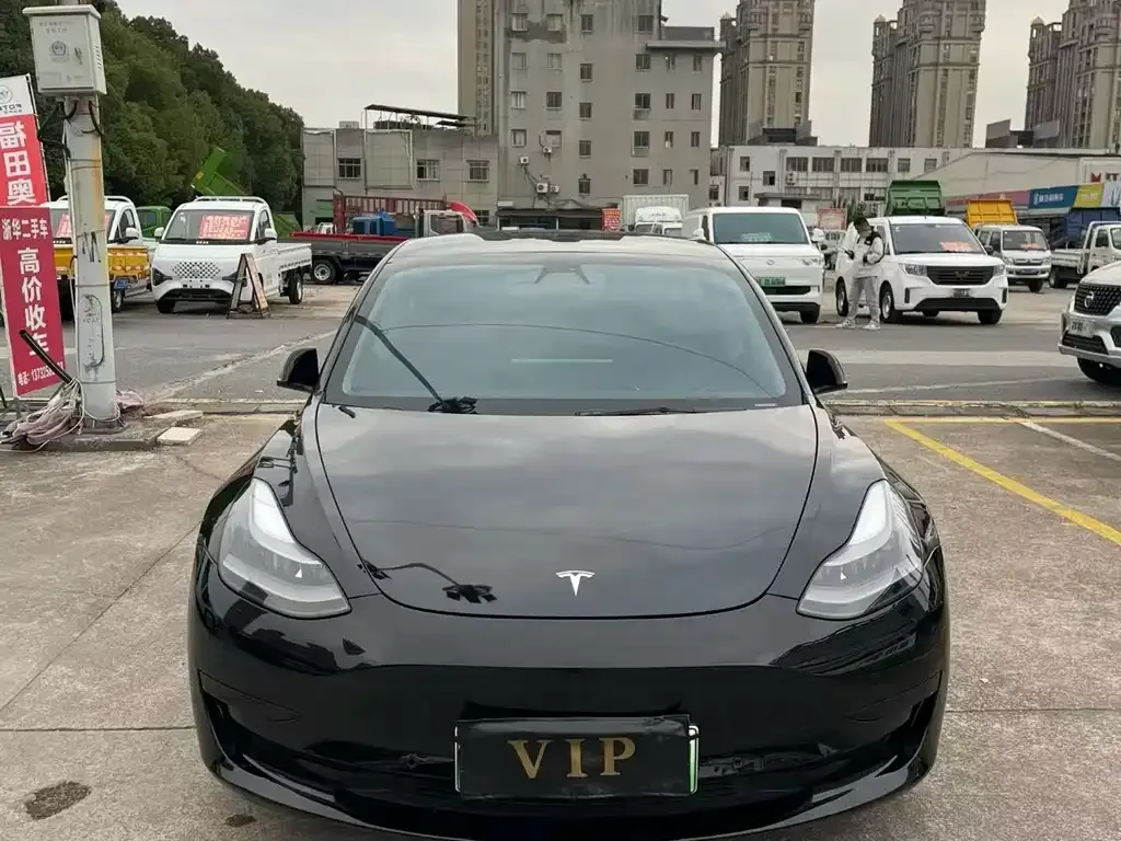 Tesla Model 3 2021 из CN, фото 5